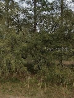 For Sale: $12,300 (0.23 acres)