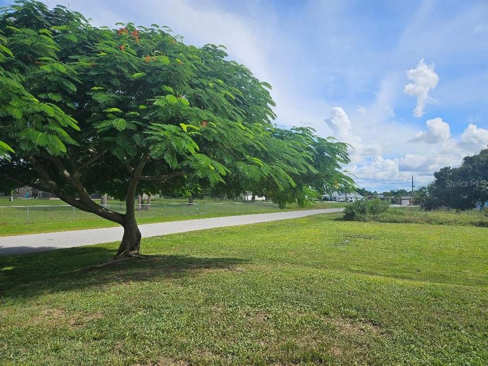 待售: $299,000 (3 贝兹, 2 浴室, 1212 平方英尺)