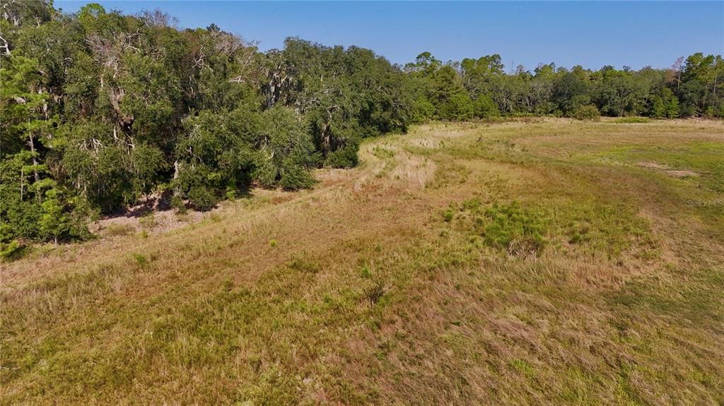 Recently Sold: $59,900 (10.00 acres)