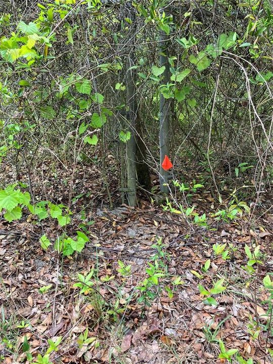 На продажу: $12,000 (0.29 acres)
