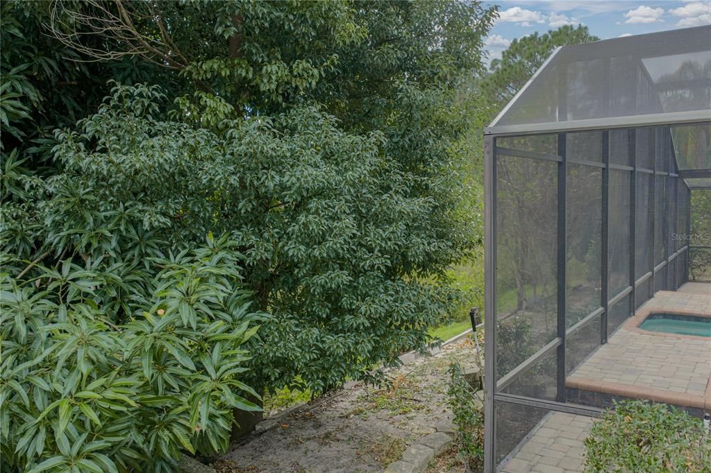 En Venta: $465,000 (4 camas, 2 baños, 2555 Pies cuadrados)