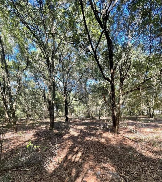 For Sale: $575,000 (7.08 acres)