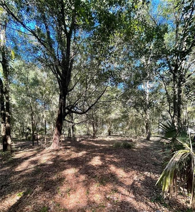 For Sale: $575,000 (7.08 acres)