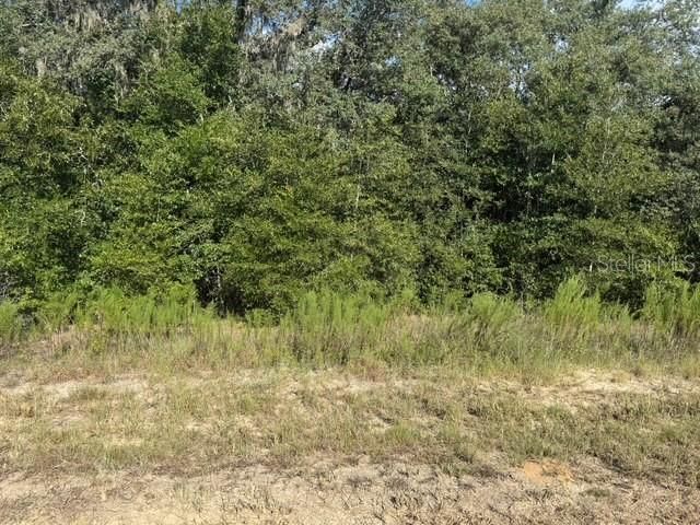 En Venta: $23,000 (0.23 acres)