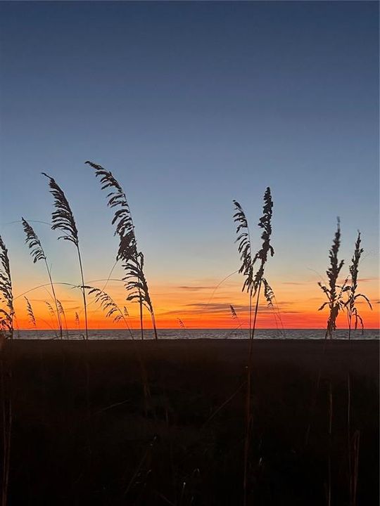 For Rent: $6,500 (2 beds, 2 baths, 1464 Square Feet)