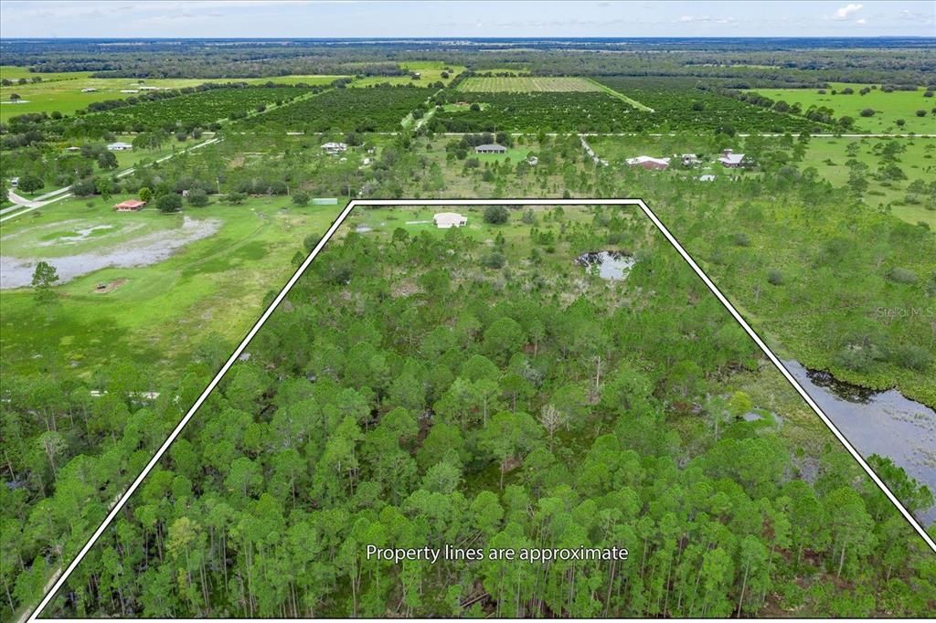 For Sale: $499,900 (3 beds, 2 baths, 1324 Square Feet)