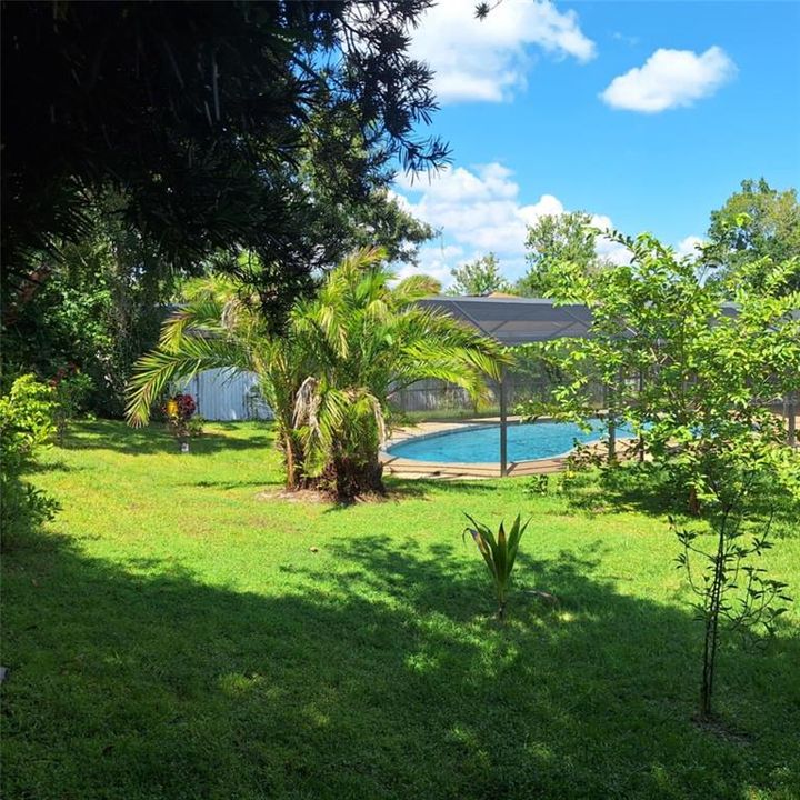 Activo con contrato: $2,500 (3 camas, 2 baños, 1558 Pies cuadrados)