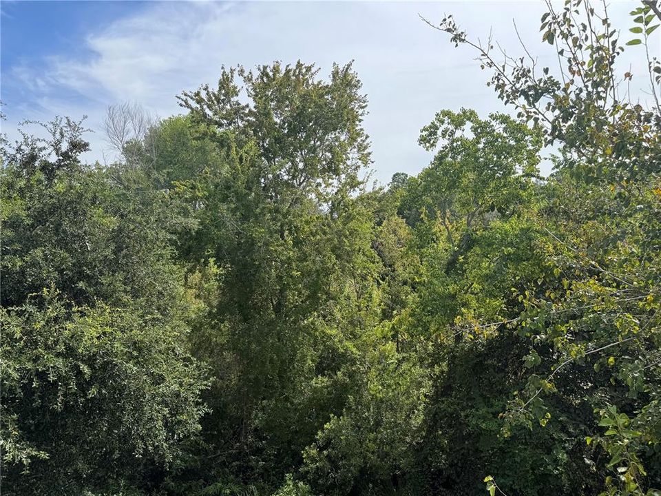 For Sale: $124,500 (1 beds, 1 baths, 635 Square Feet)