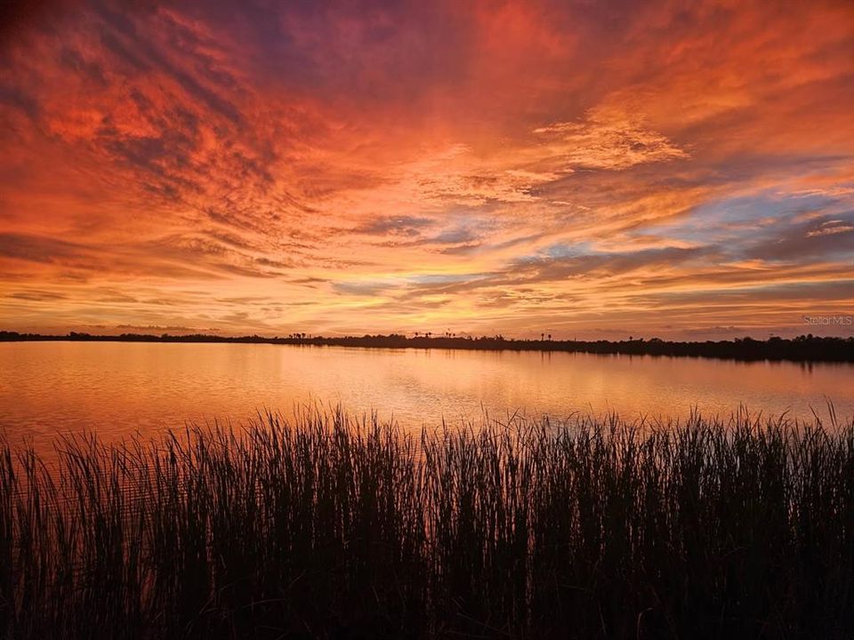 En Venta: $3,450,000 (7 camas, 8 baños, 8769 Pies cuadrados)