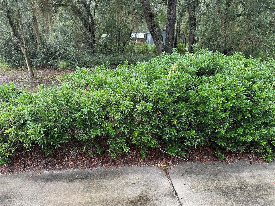 出租: $1,199 (2 贝兹, 2 浴室, 1000 平方英尺)