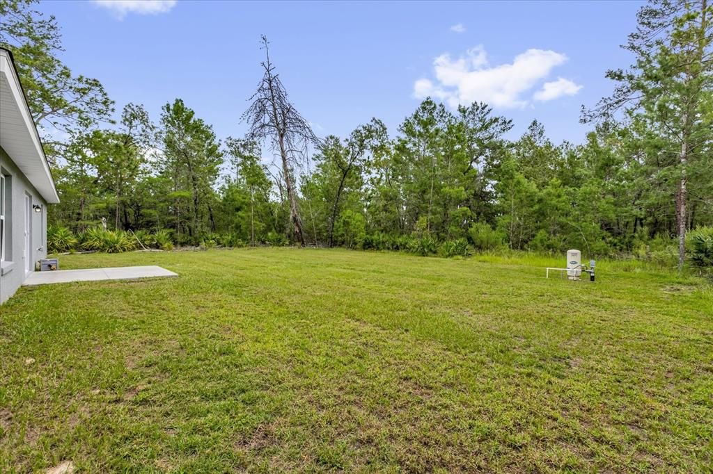 待售: $229,900 (3 贝兹, 2 浴室, 1316 平方英尺)