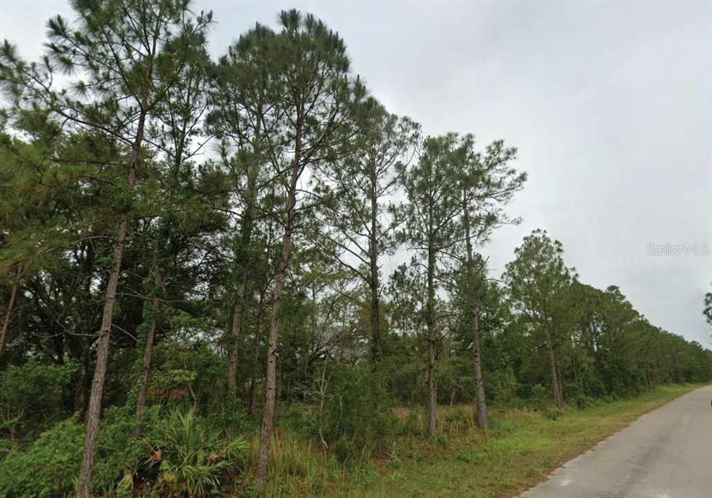 For Sale: $93,000 (0.23 acres)