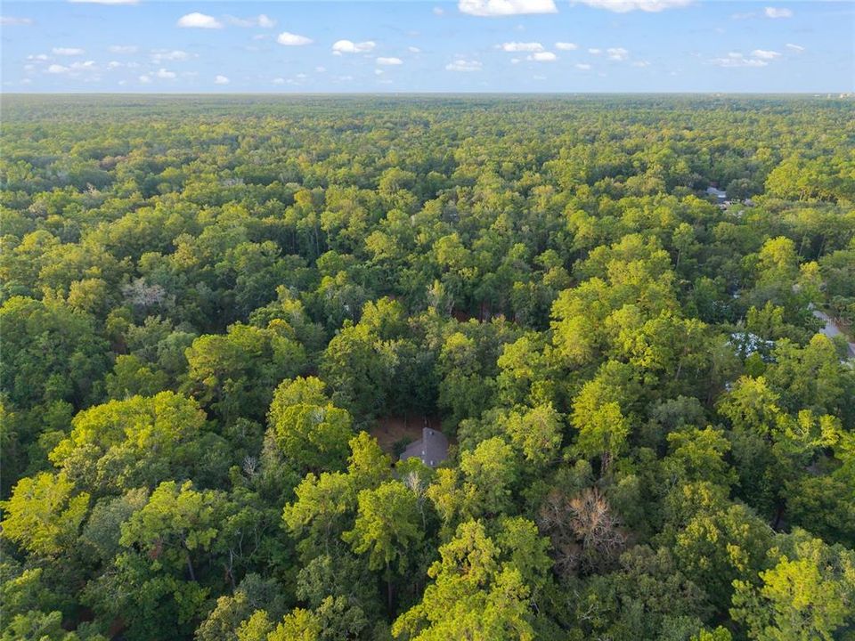 Active With Contract: $499,000 (4 beds, 2 baths, 2571 Square Feet)