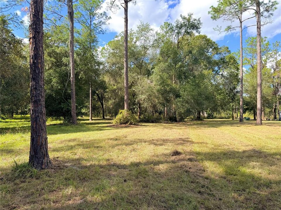 En Venta: $250,000 (10.07 acres)