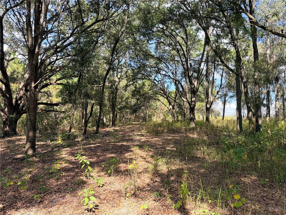 En Venta: $250,000 (10.07 acres)