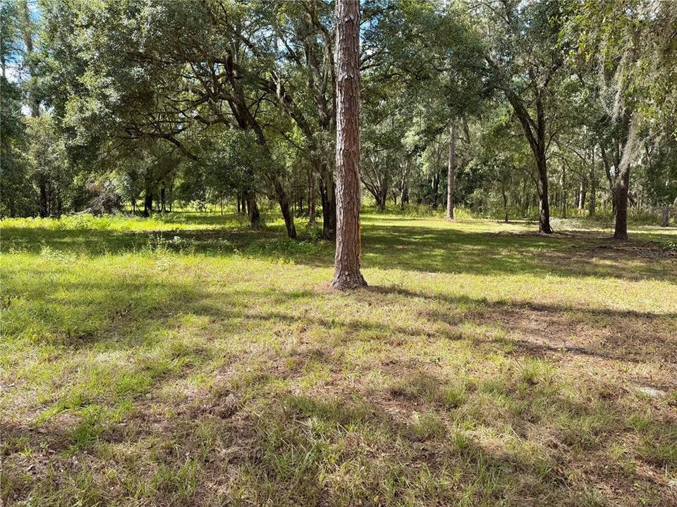 En Venta: $250,000 (10.07 acres)