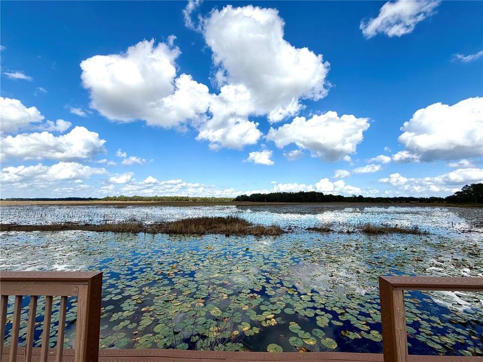 En Venta: $250,000 (10.07 acres)