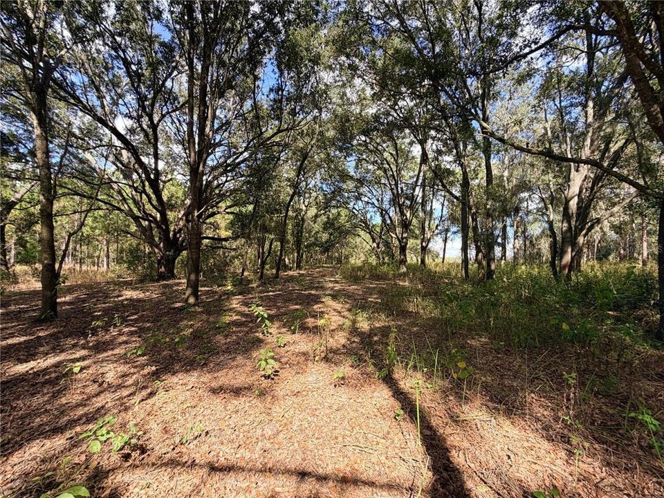 En Venta: $250,000 (10.07 acres)