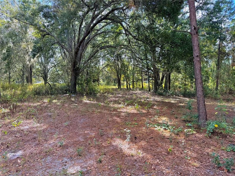 En Venta: $250,000 (10.07 acres)