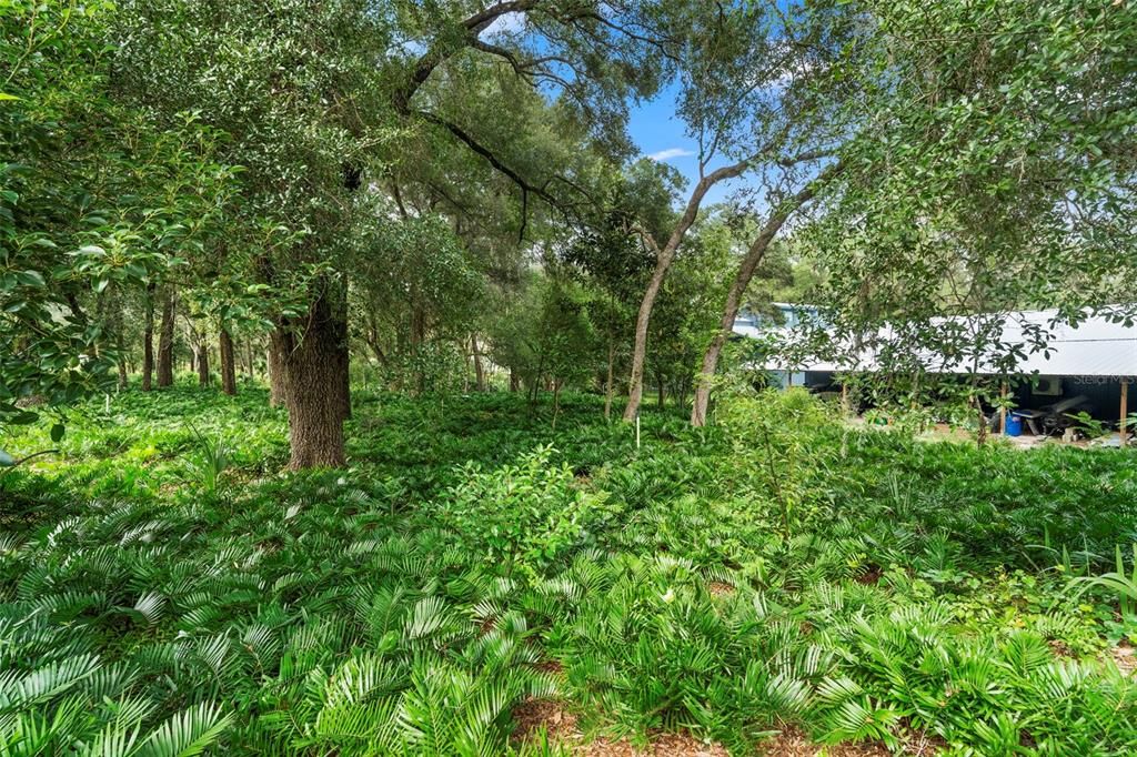 待售: $849,000 (3 贝兹, 5 浴室, 2496 平方英尺)