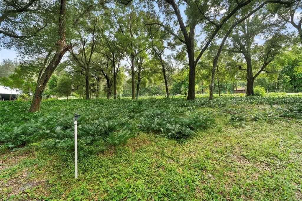 待售: $849,000 (3 贝兹, 5 浴室, 2496 平方英尺)