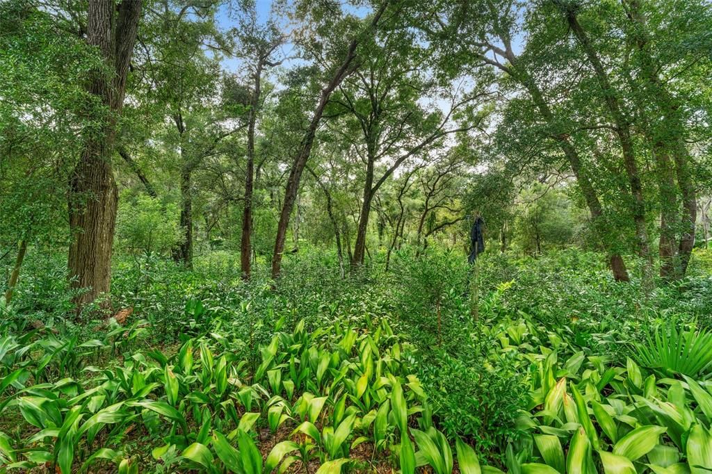 待售: $849,000 (3 贝兹, 5 浴室, 2496 平方英尺)