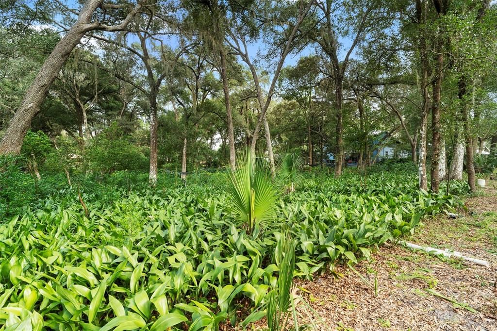 待售: $849,000 (3 贝兹, 5 浴室, 2496 平方英尺)