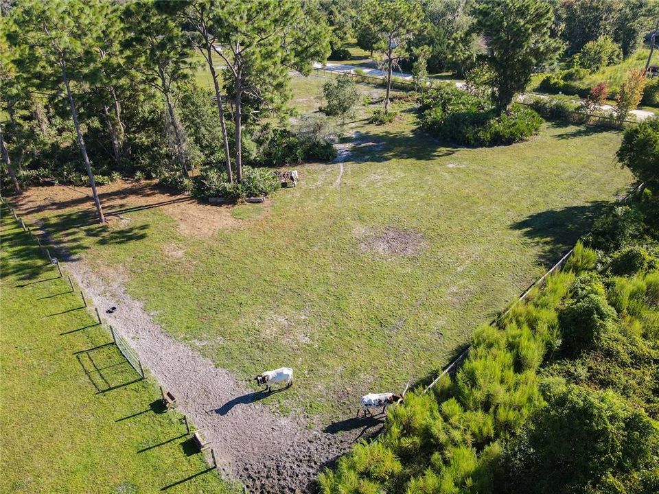 待售: $445,000 (3 贝兹, 2 浴室, 1248 平方英尺)