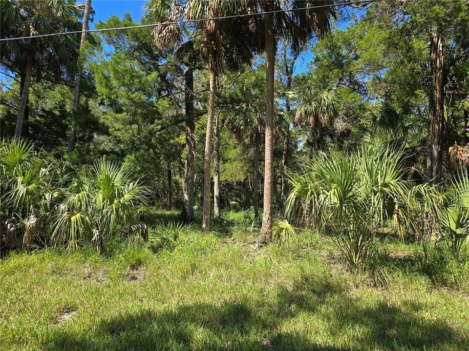 На продажу: $59,000 (0.67 acres)