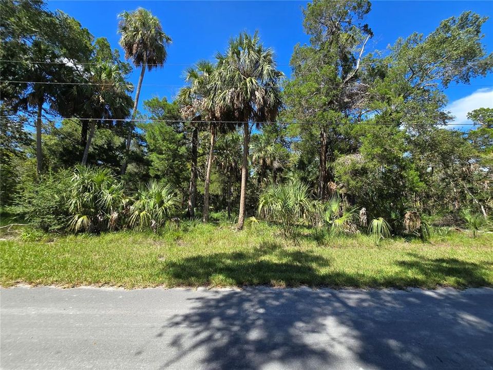 На продажу: $59,000 (0.67 acres)