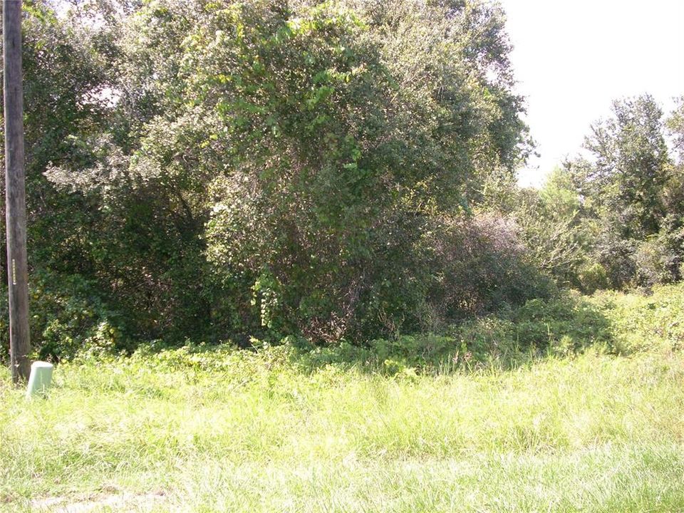 На продажу: $50,000 (0.16 acres)