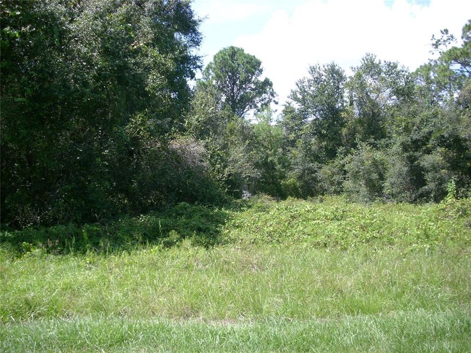 На продажу: $50,000 (0.16 acres)