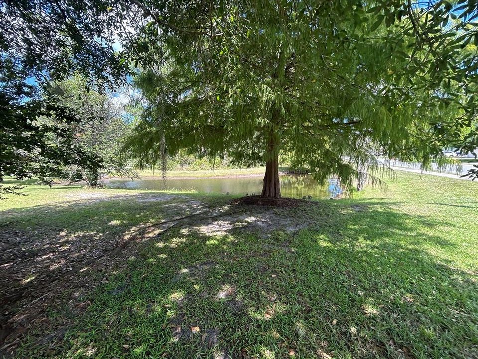 Active With Contract: $1,800 (3 beds, 2 baths, 1242 Square Feet)