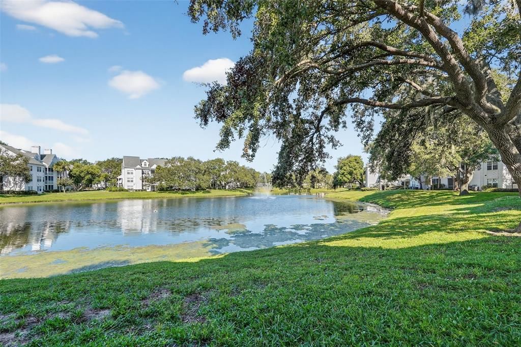 For Sale: $195,000 (1 beds, 1 baths, 1153 Square Feet)