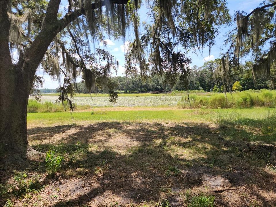 For Sale: $55,900 (0.24 acres)