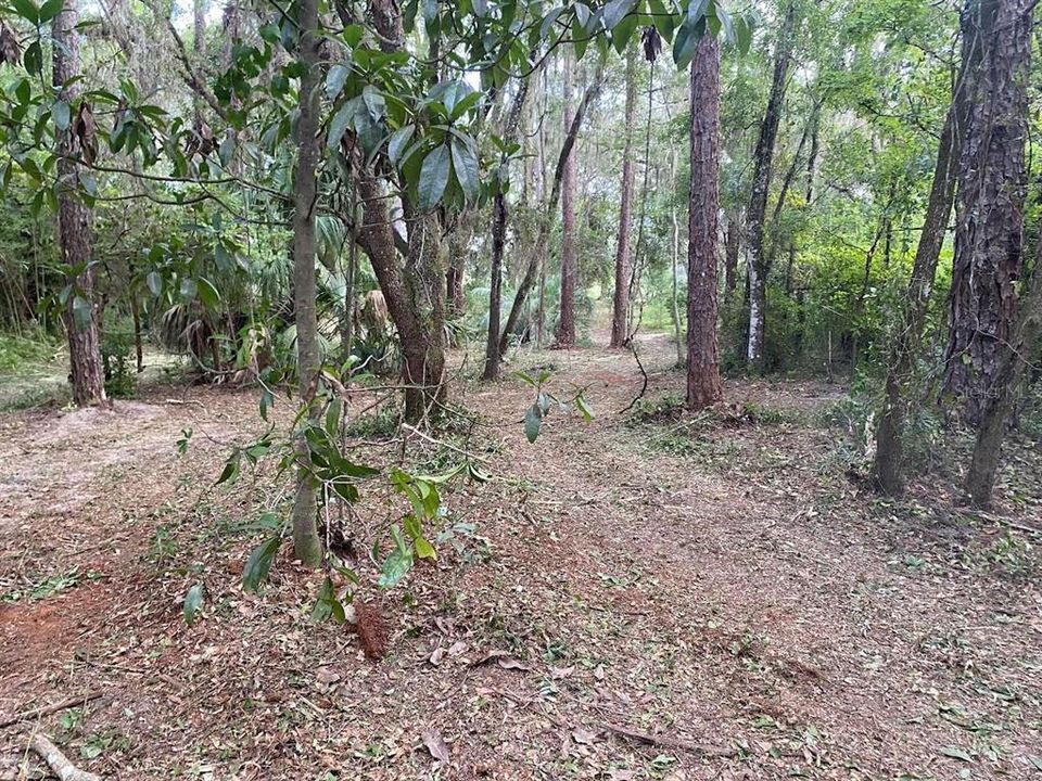 For Sale: $55,900 (0.24 acres)