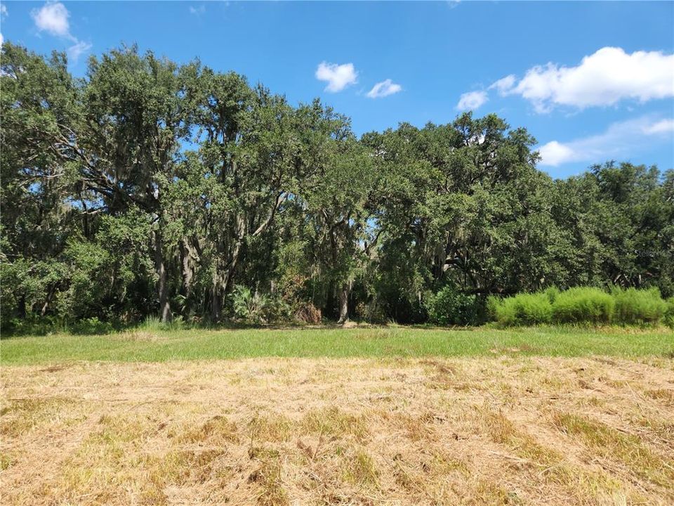 For Sale: $55,900 (0.24 acres)