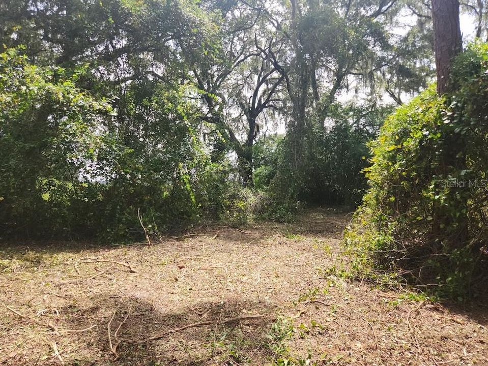 For Sale: $55,900 (0.24 acres)