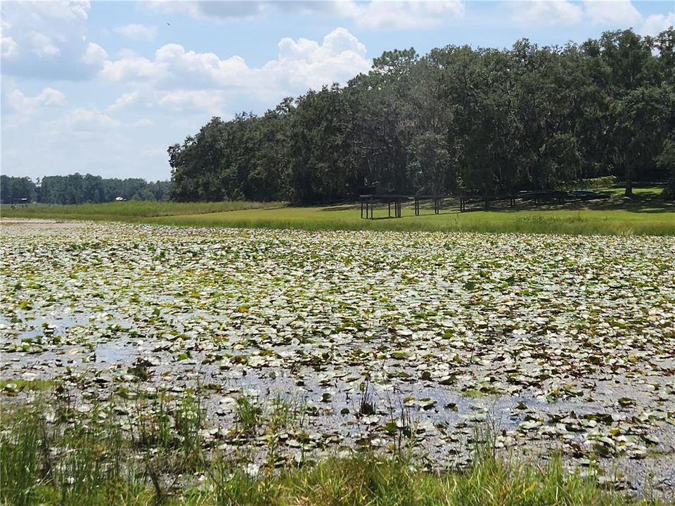 For Sale: $55,900 (0.24 acres)