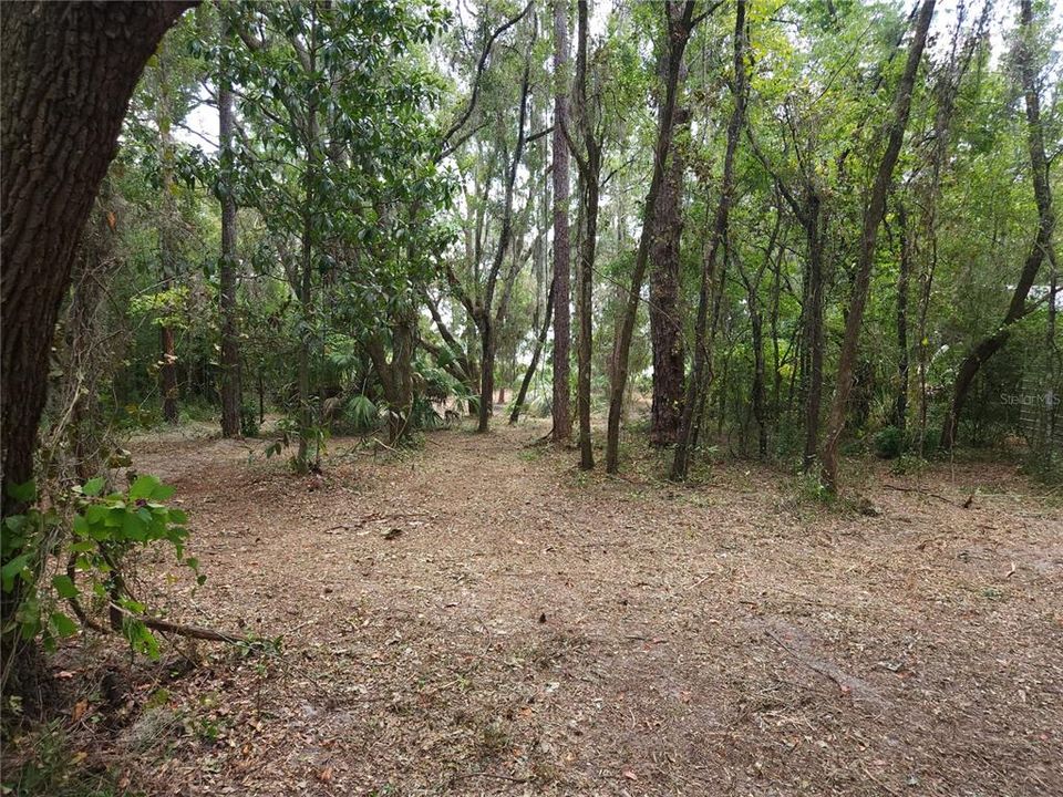 For Sale: $55,900 (0.24 acres)