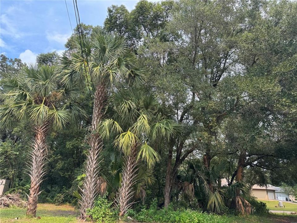 For Sale: $65,000 (0.45 acres)