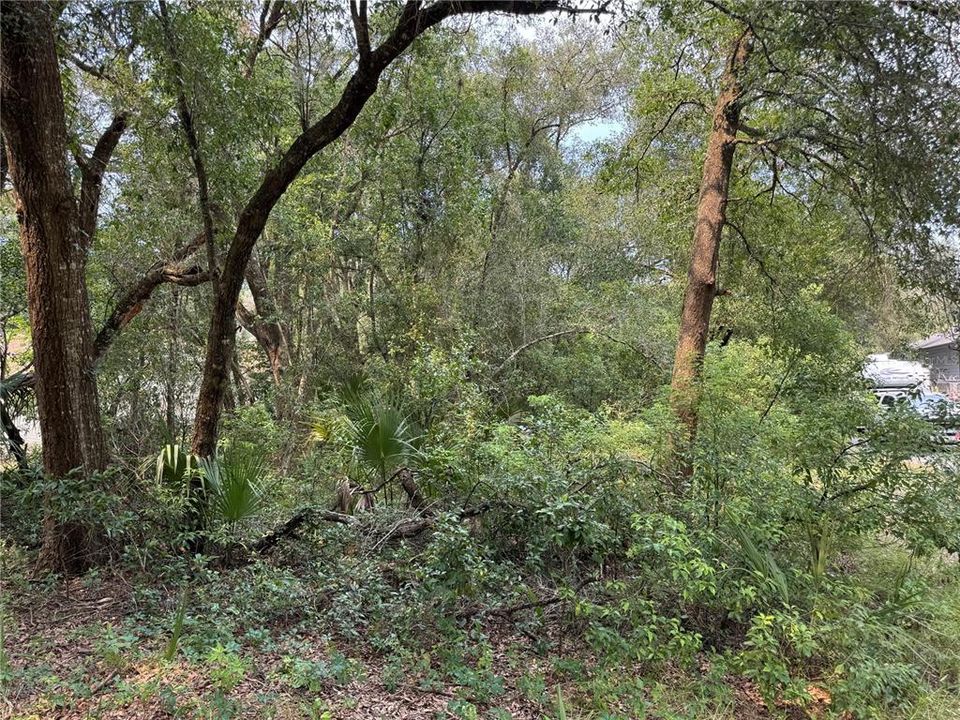 For Sale: $65,000 (0.45 acres)