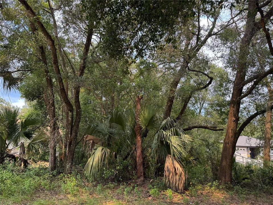 For Sale: $65,000 (0.45 acres)