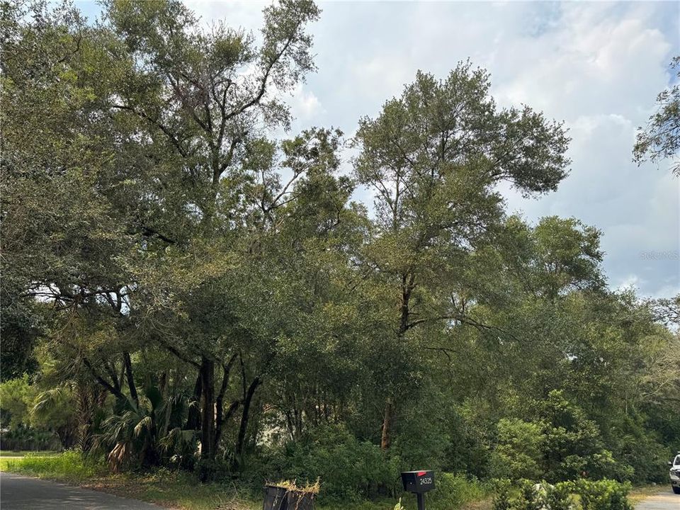 For Sale: $65,000 (0.45 acres)