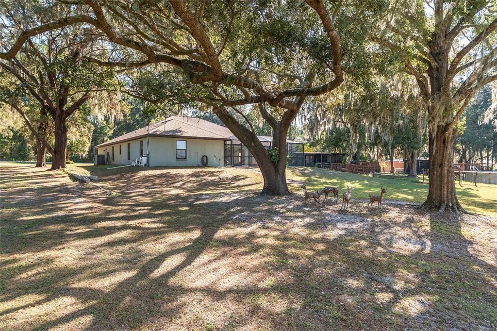 For Sale: $629,900 (4 beds, 3 baths, 2162 Square Feet)