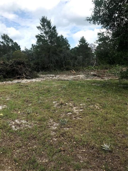 For Sale: $184,900 (5.02 acres)