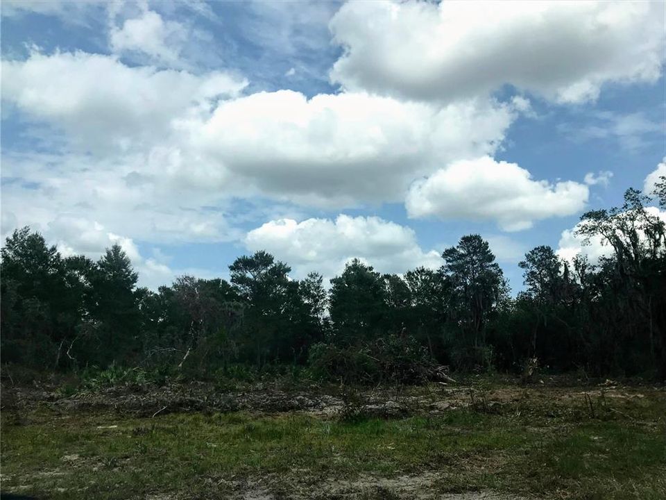 For Sale: $184,900 (5.02 acres)