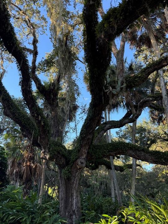 En Venta: $199,900 (0.28 acres)