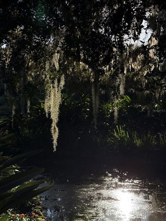 En Venta: $199,900 (0.28 acres)