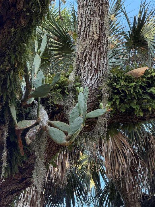 En Venta: $199,900 (0.28 acres)